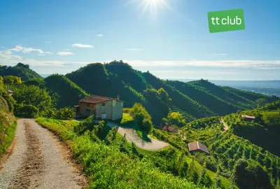 ItalienVenetoWeinbergeundeineBergstrasseaufdenHuegelnvonProseccoClubTTshutterstock2280680253.jpg