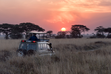 Safari in Tansania - Big Five