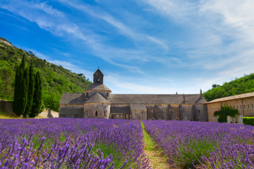 Busreise Lavendelblüte in der Provence