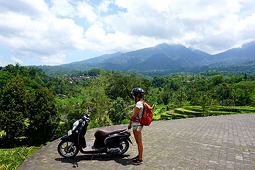 Moped Tour