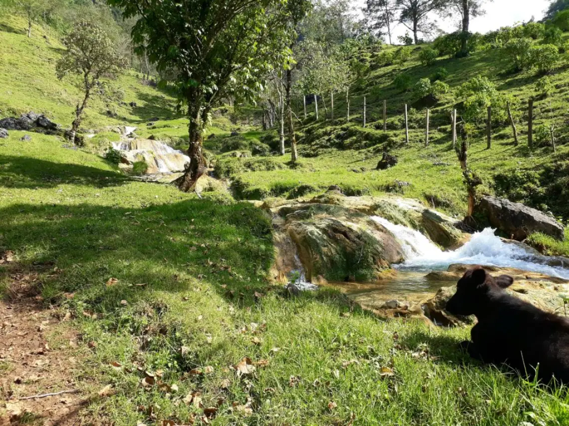 Guatemala