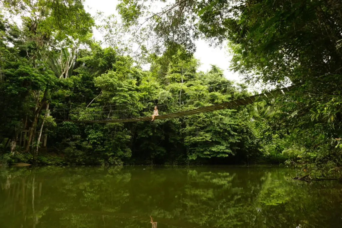 Belize Dschungel