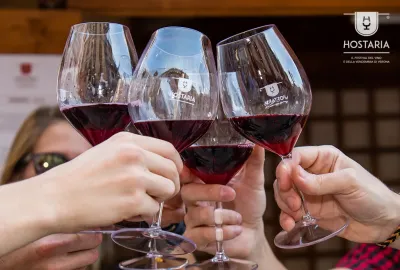 IdealtoursItalienVeronaFestadelVinodiVeronaHostariaVeronaIlFestivaldelVino8.jpg
