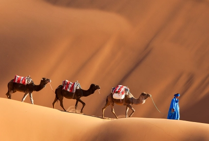Sahara