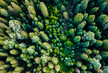 Nachhaltig reisen trotz Flugreise?