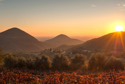Vitaler Herbst in Abano
