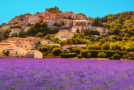 Lavendelfelder in der Provence