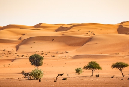 Wahiba Sand