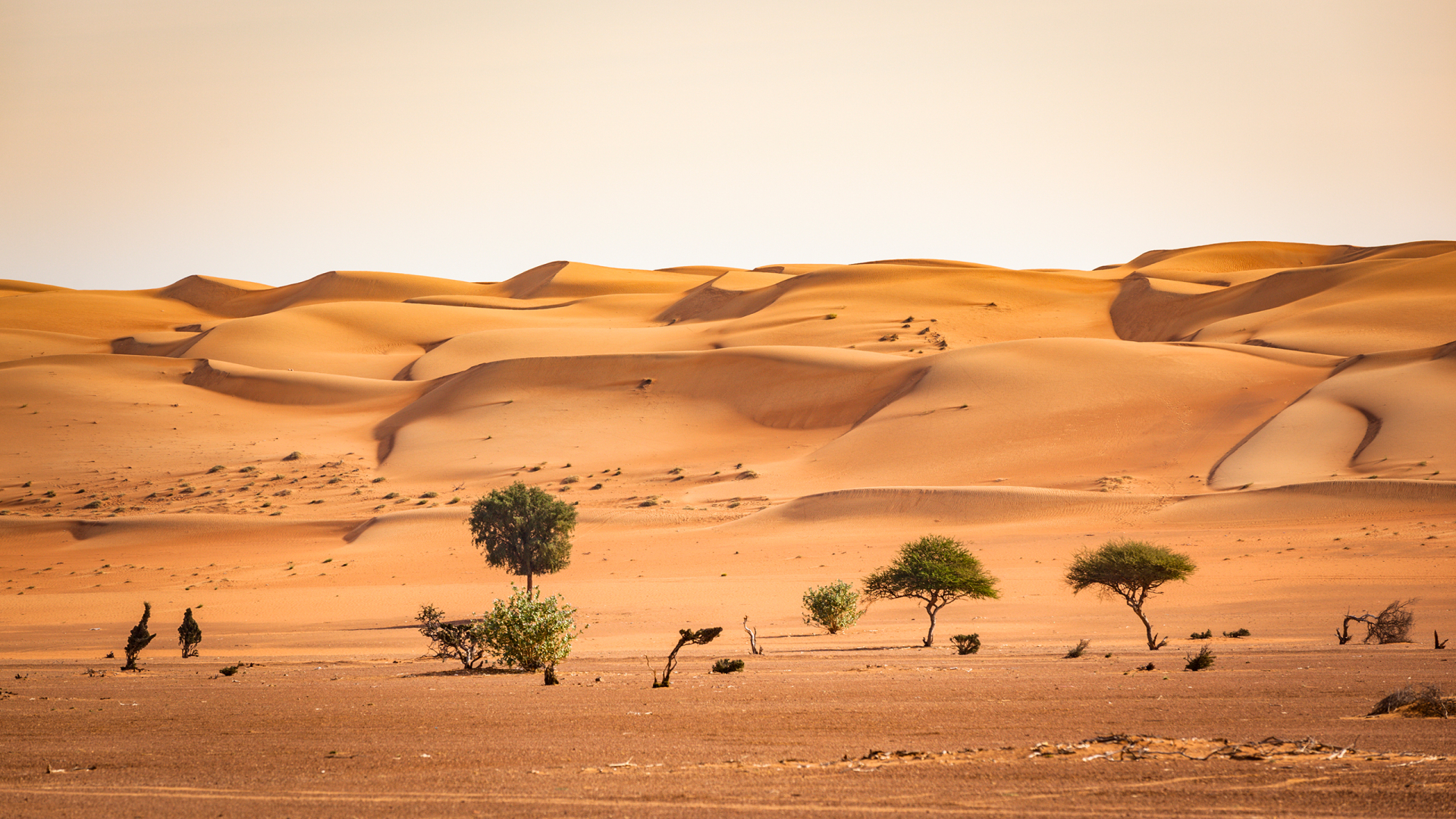 Oman – Abenteuer Orient