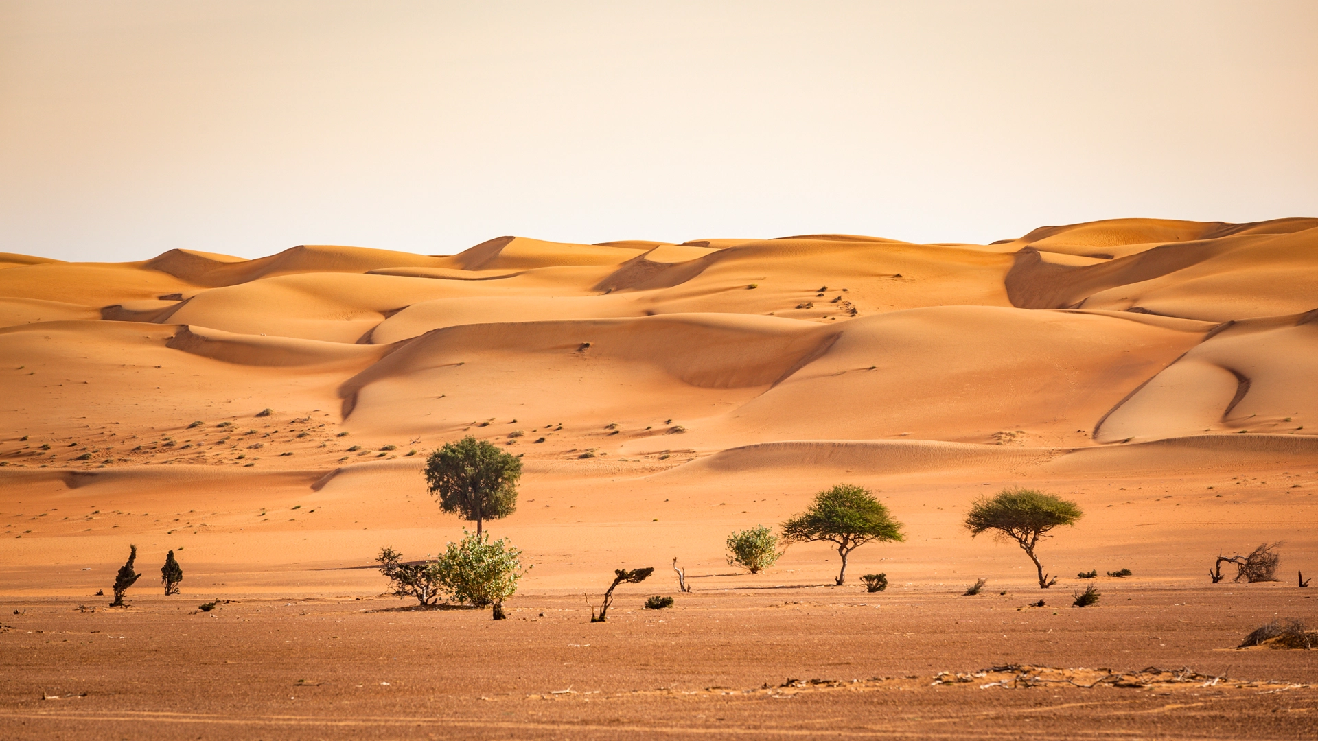 Oman – Abenteuer Orient