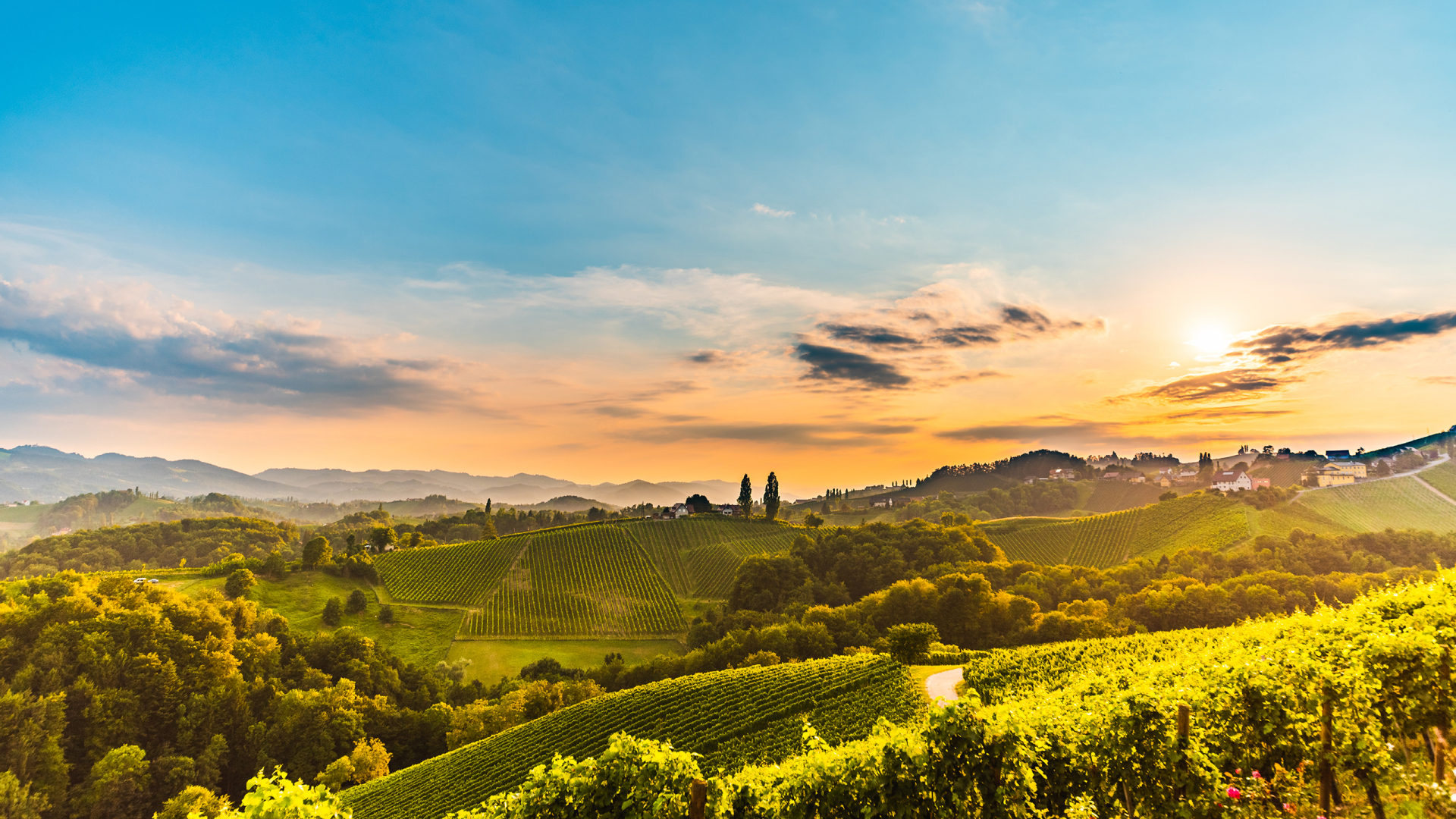 Idealer Urlaub in Österreich