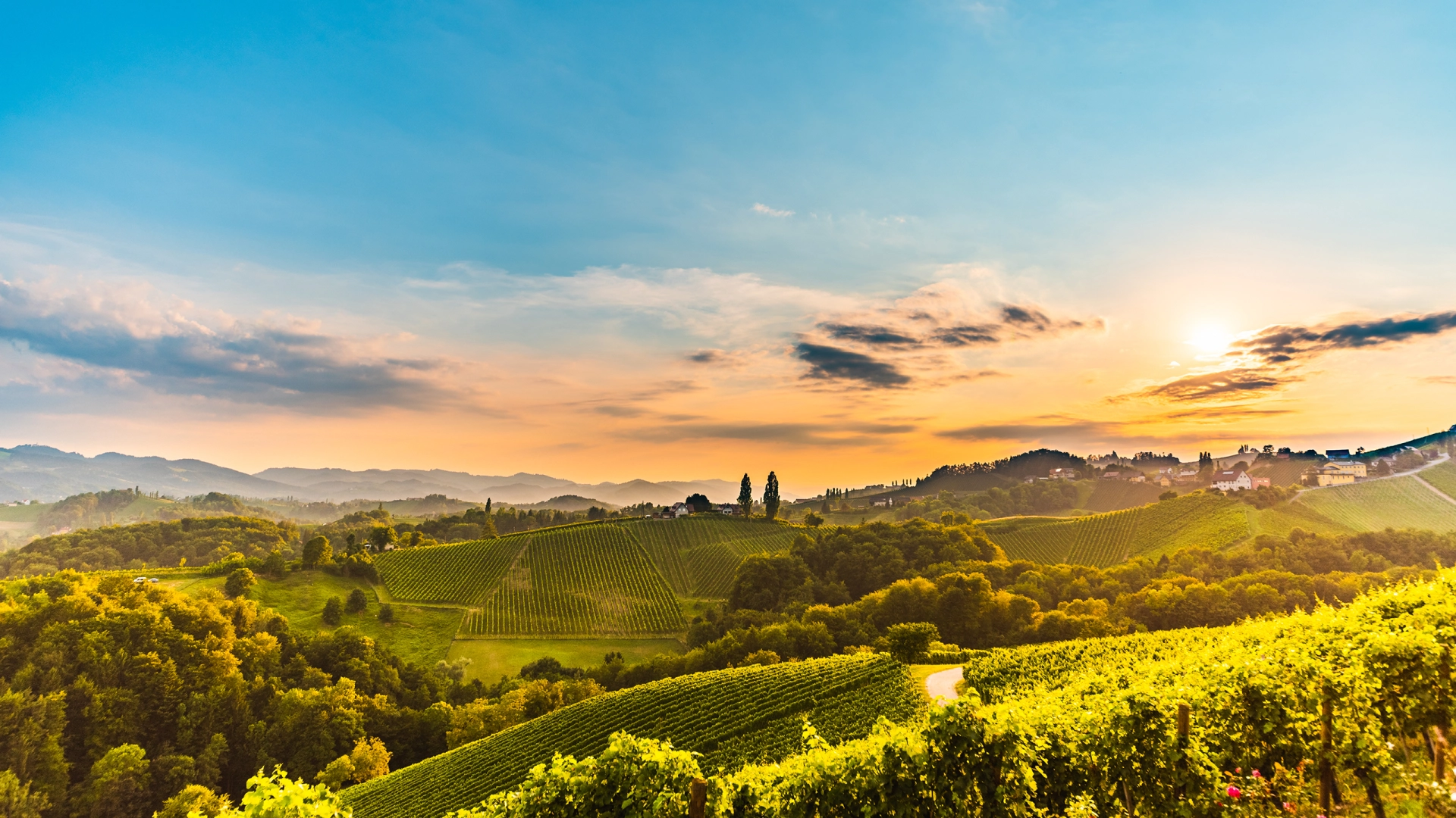 Idealer Urlaub in Österreich
