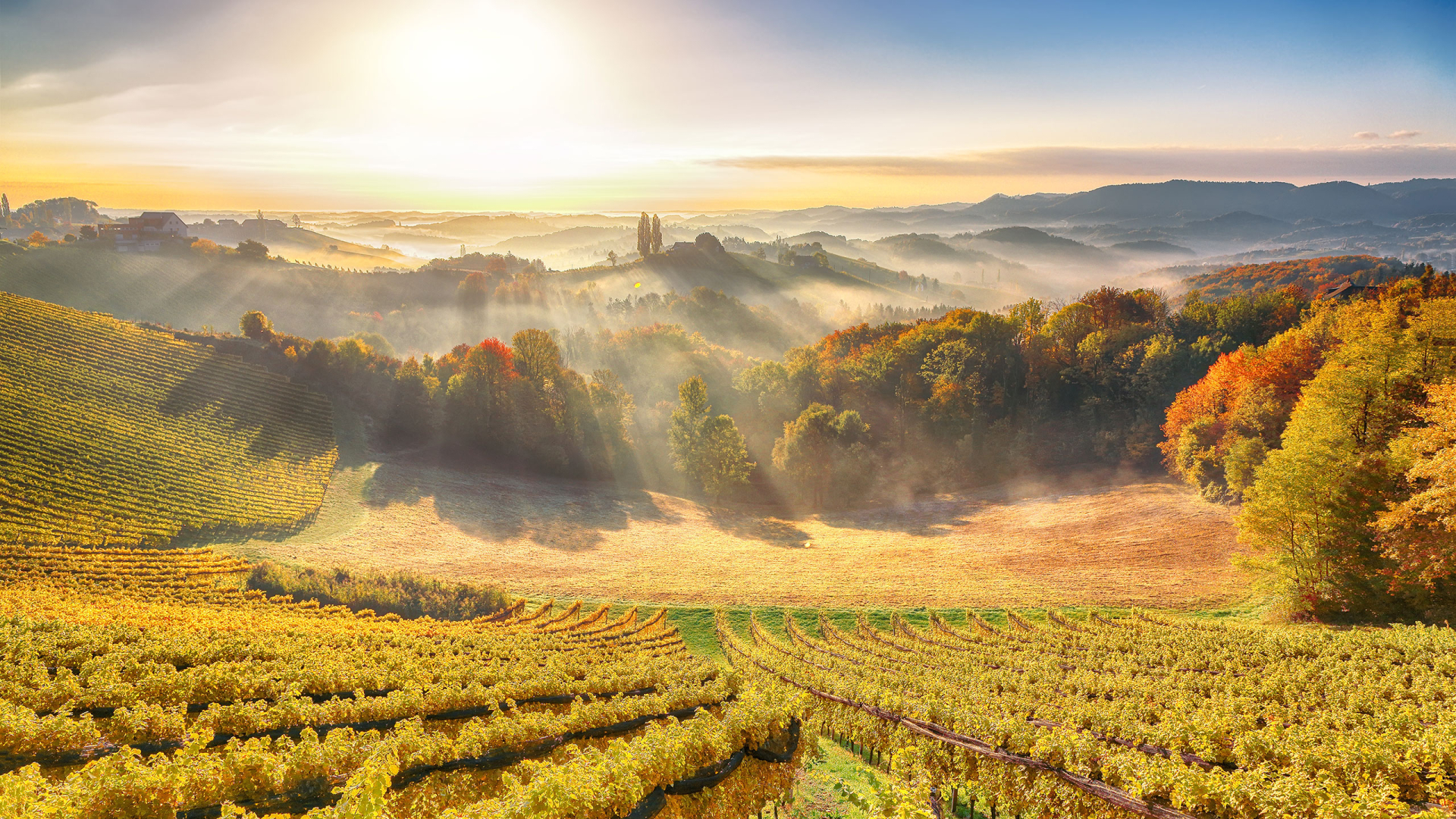 Herbst, so schön bist nur du! Herbstreisen zum Verlieben