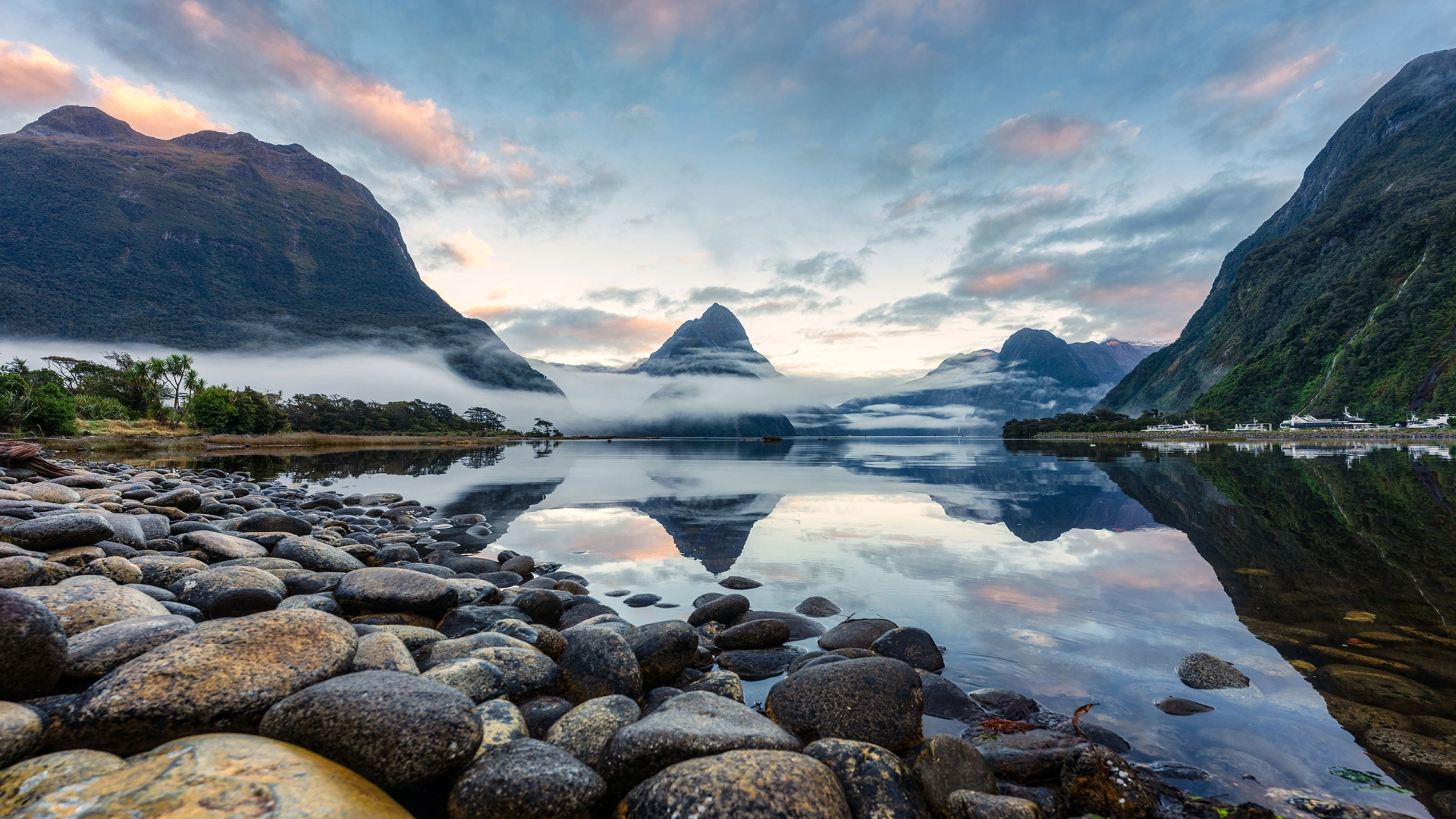 Neuseeland – Land der Kiwis