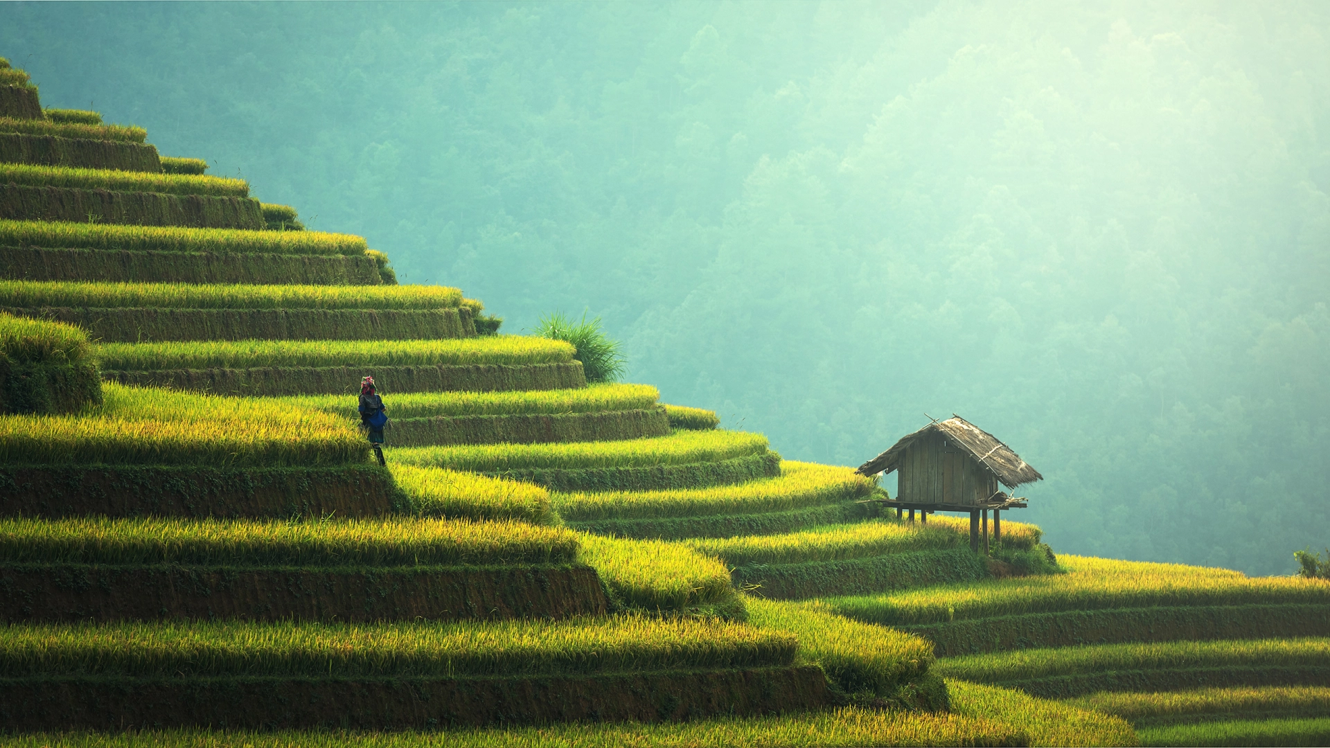 Mit dem Rucksack durch Vietnam - das Land der Wunder