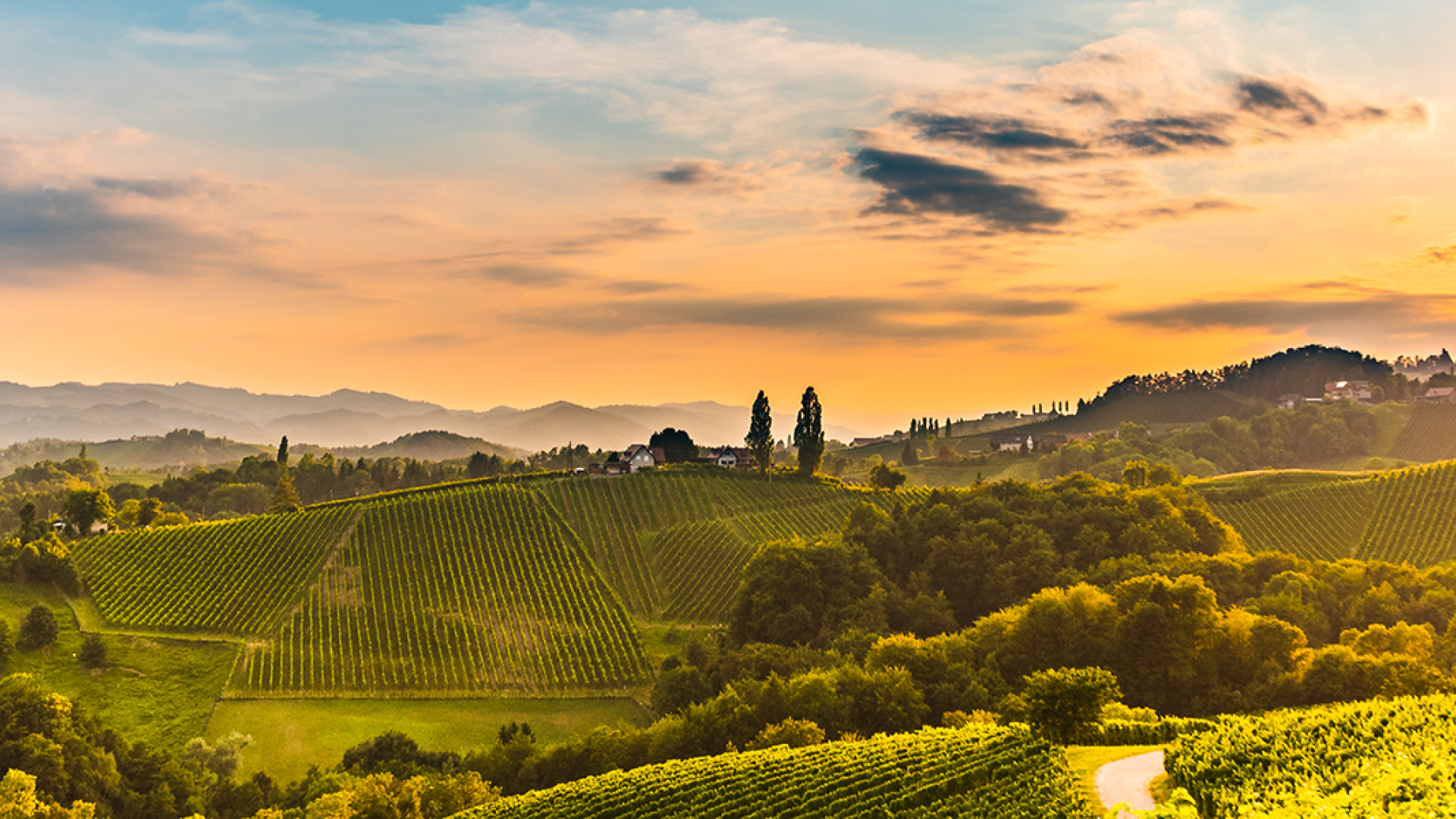Ideale Auszeit in der Heimat - wir bringen Sie ins Steirische Thermenland!