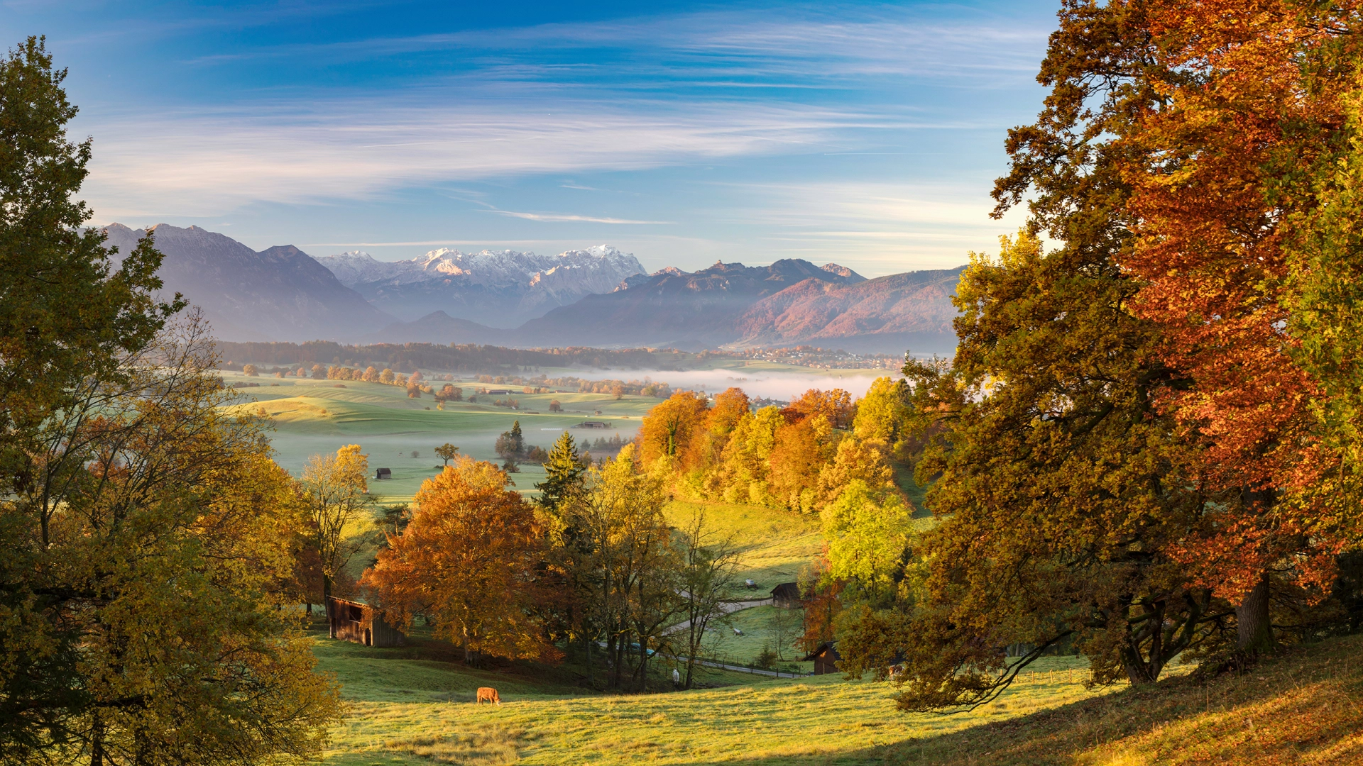 Wenn der Herbst Geschichten erzählt