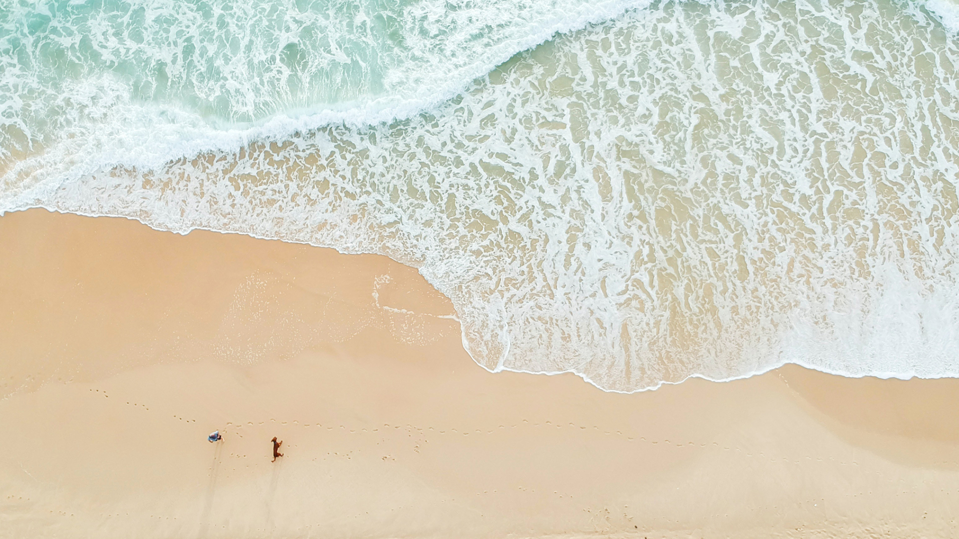 Im Gespräch mit Susanne Neuhauser
