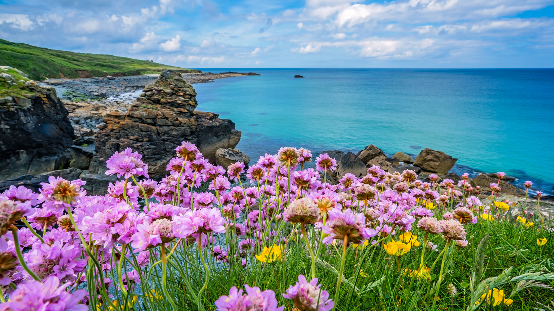 Reise nach Cornwall - Britisches Blumenparadies