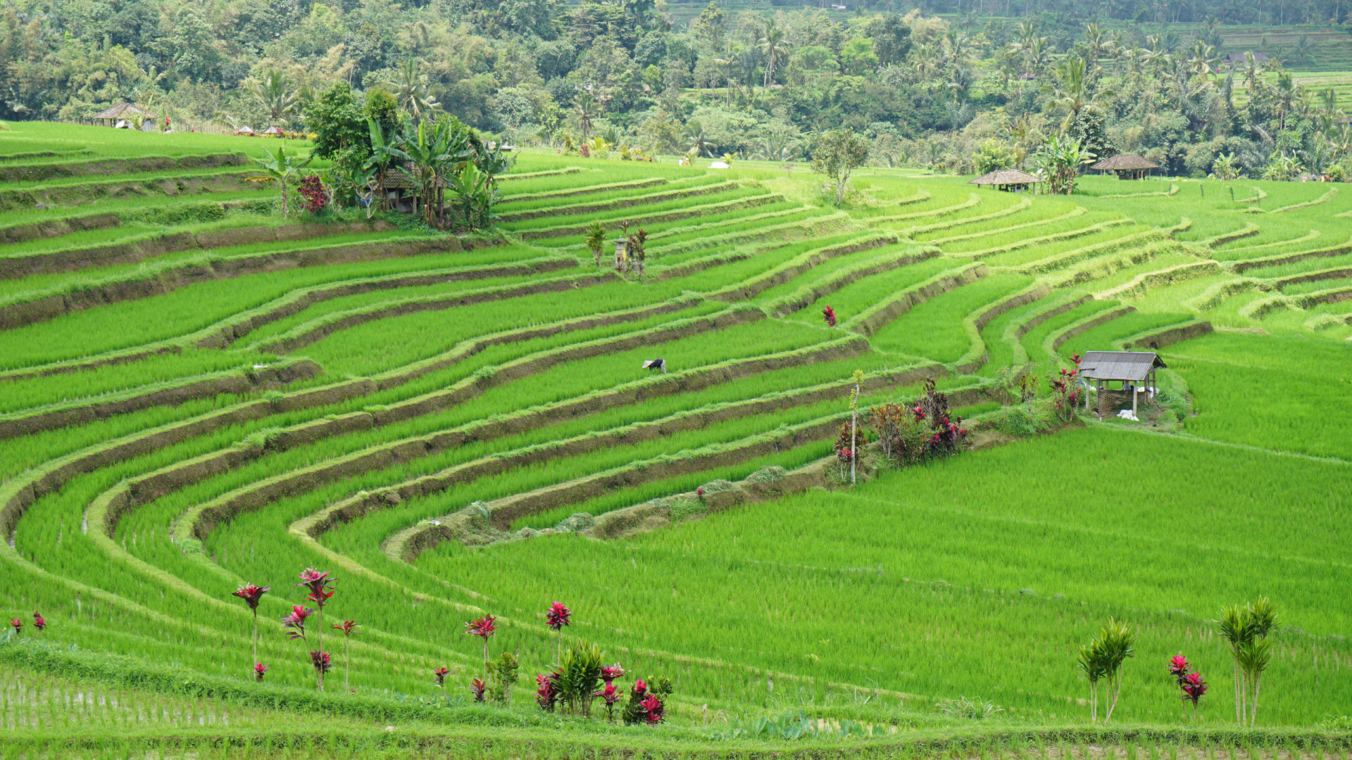Unser erstes Eintauchen in die asiatische Welt