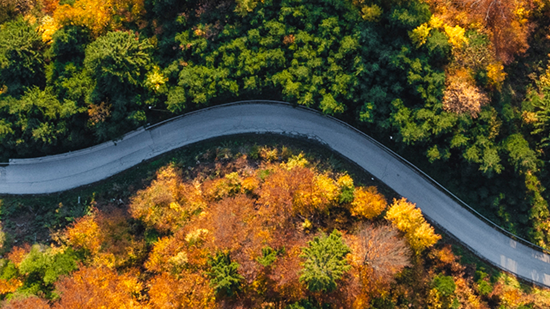 500 Bäume gepflanzt mit Wald4Leben