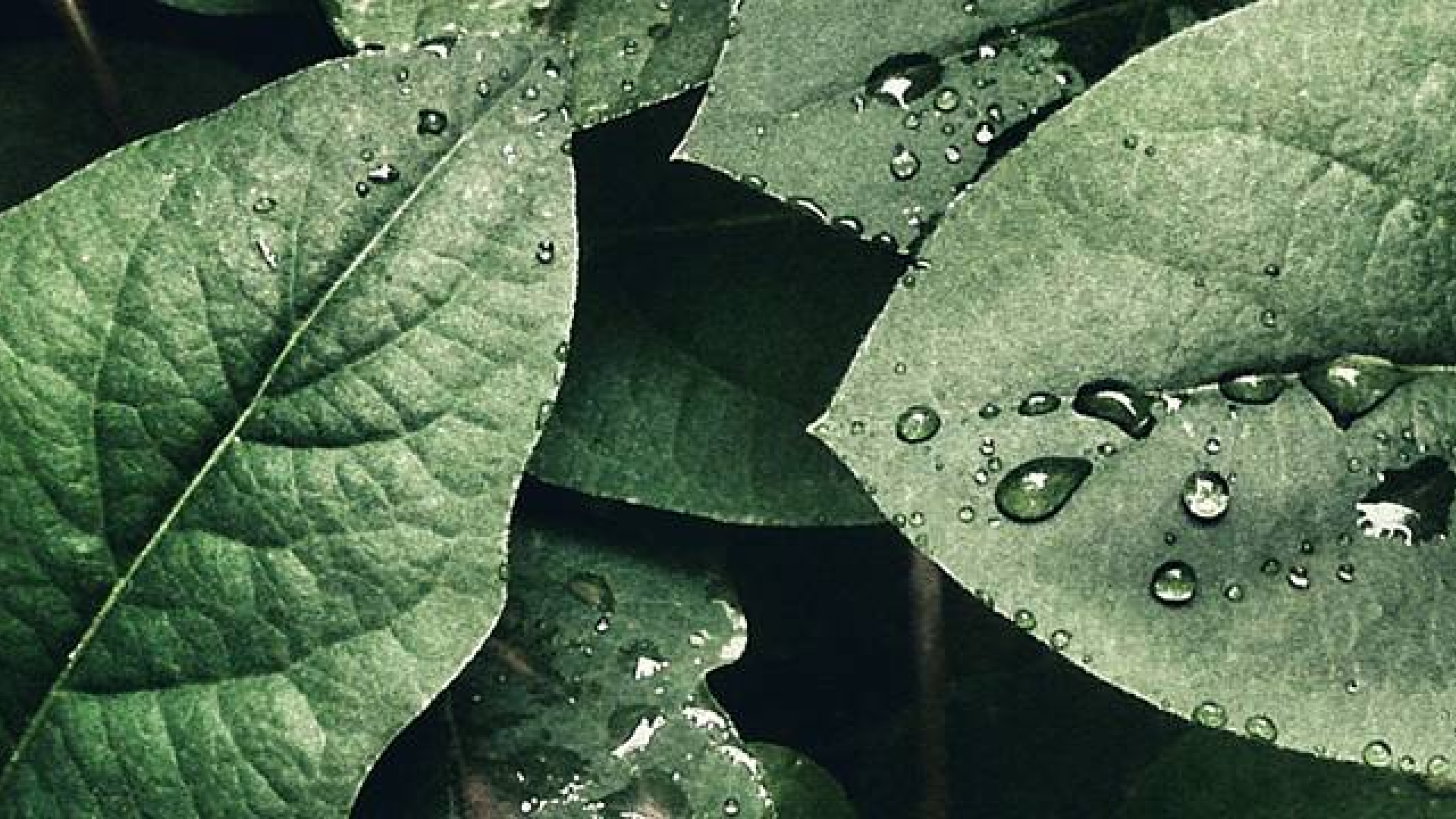 Idealtours ist Biosphere-zertifiziert