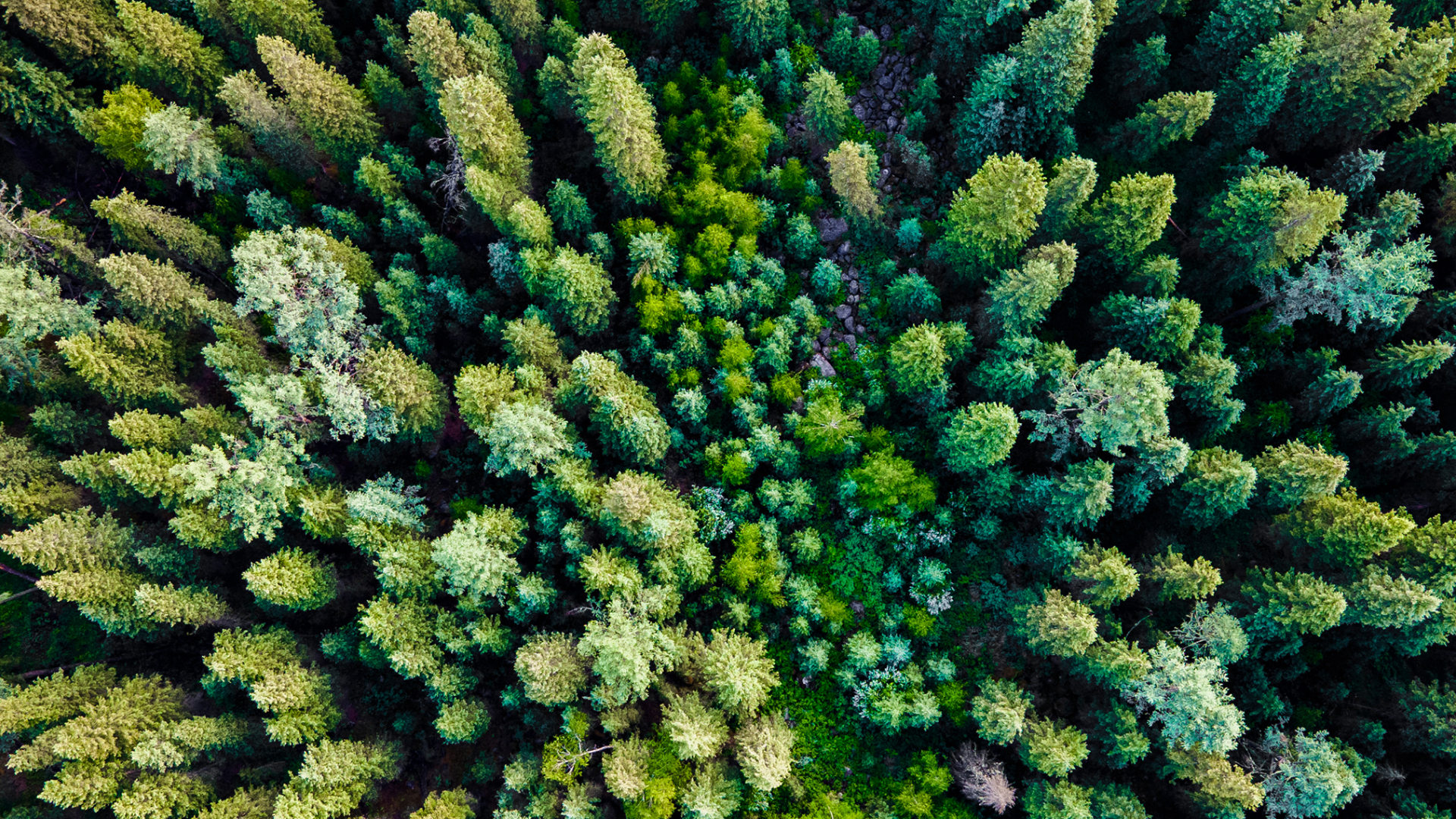 Nachhaltig reisen trotz Flugreise?