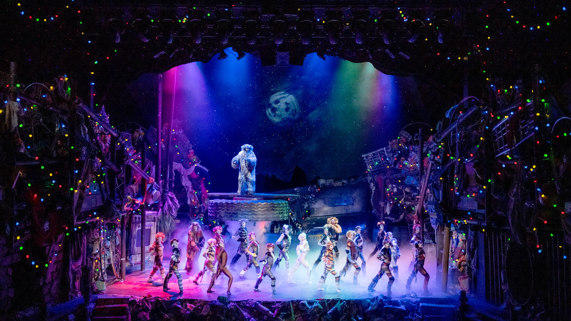 „Welch ein Glück, eine Jellicle Katze zu sein!“