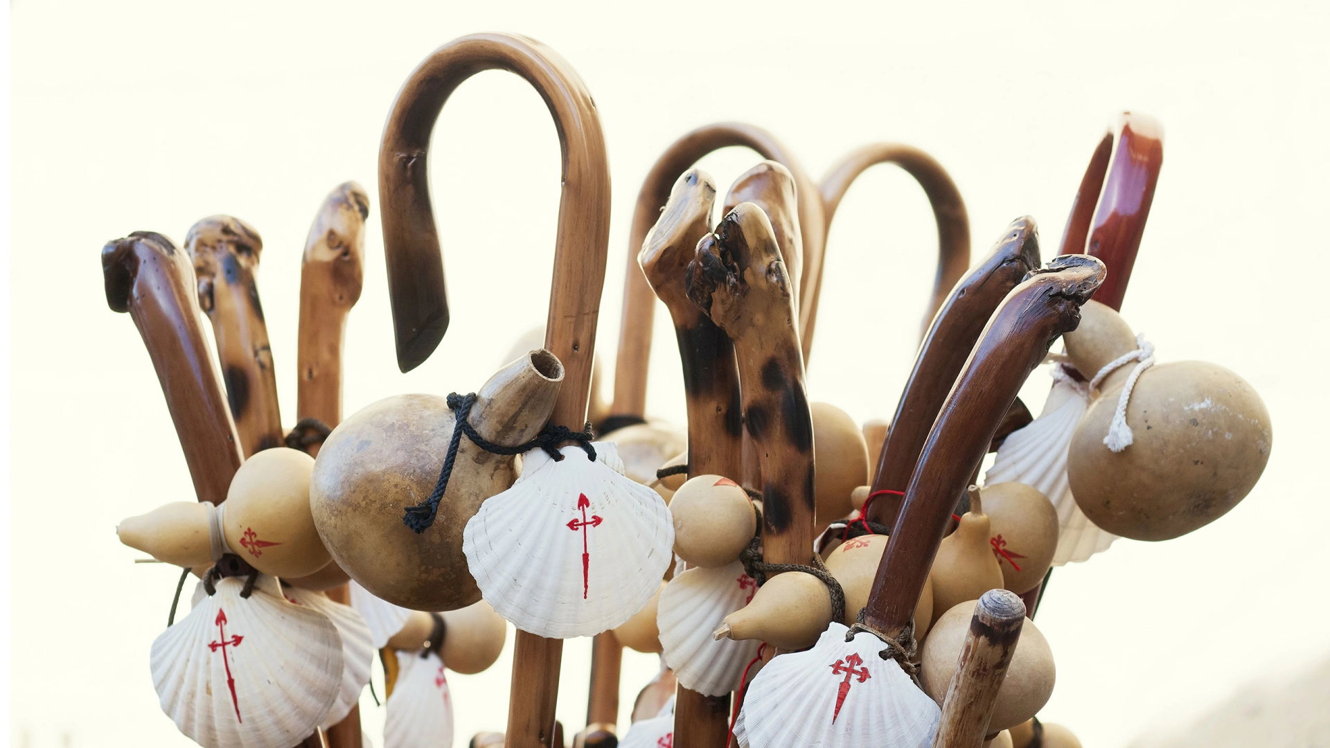 Pilgern - erleben, genießen & besinnen