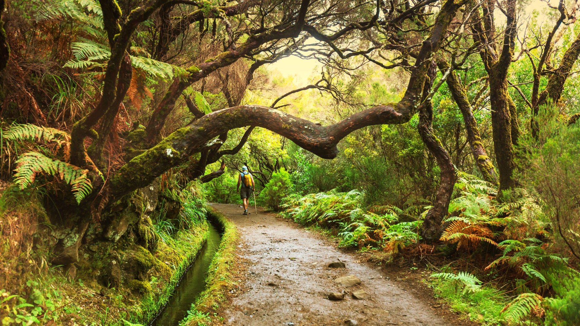 Reise nach Madeira mit Isabella Krassnitzer