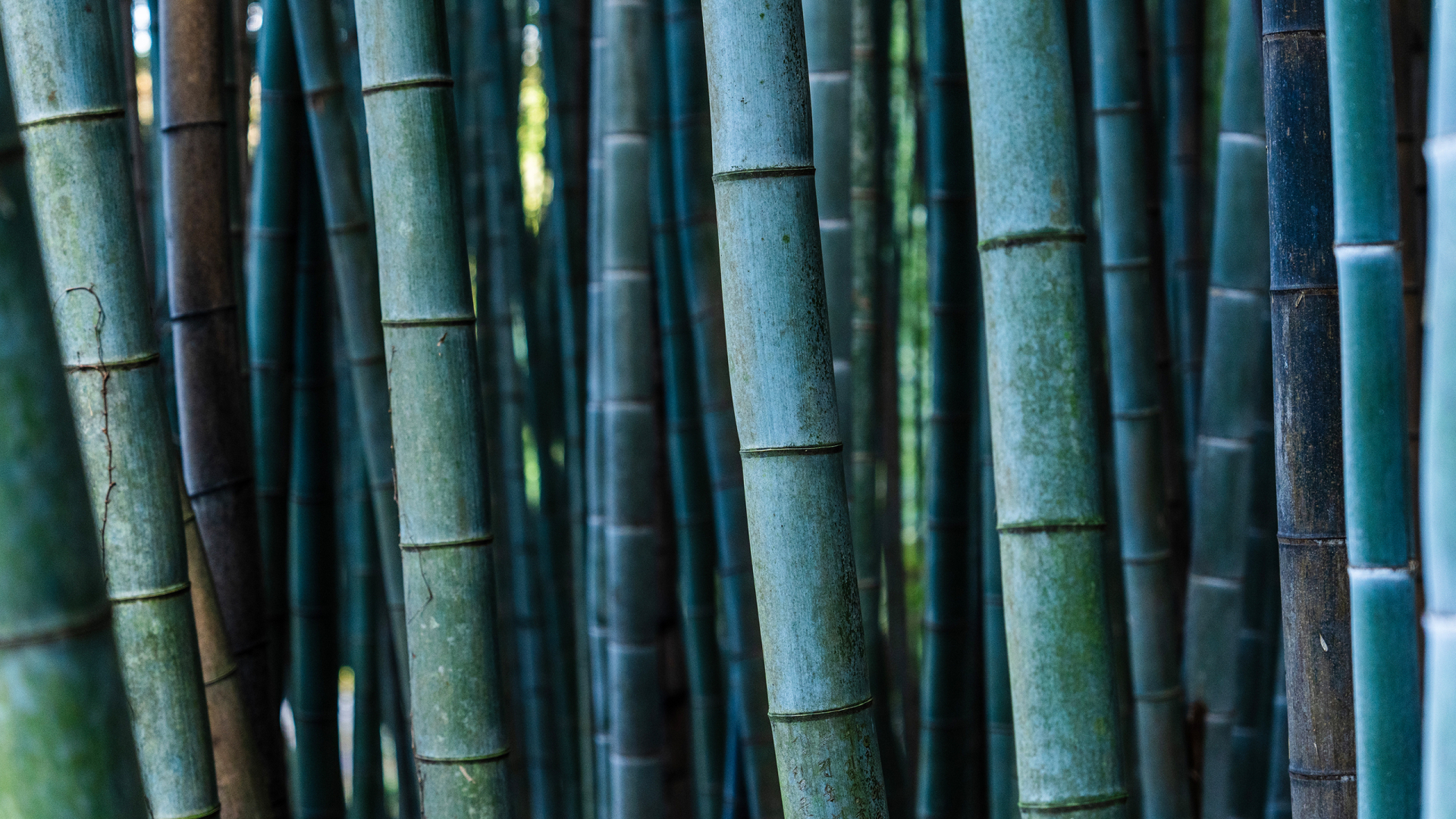 Healing Holidays & Retreats