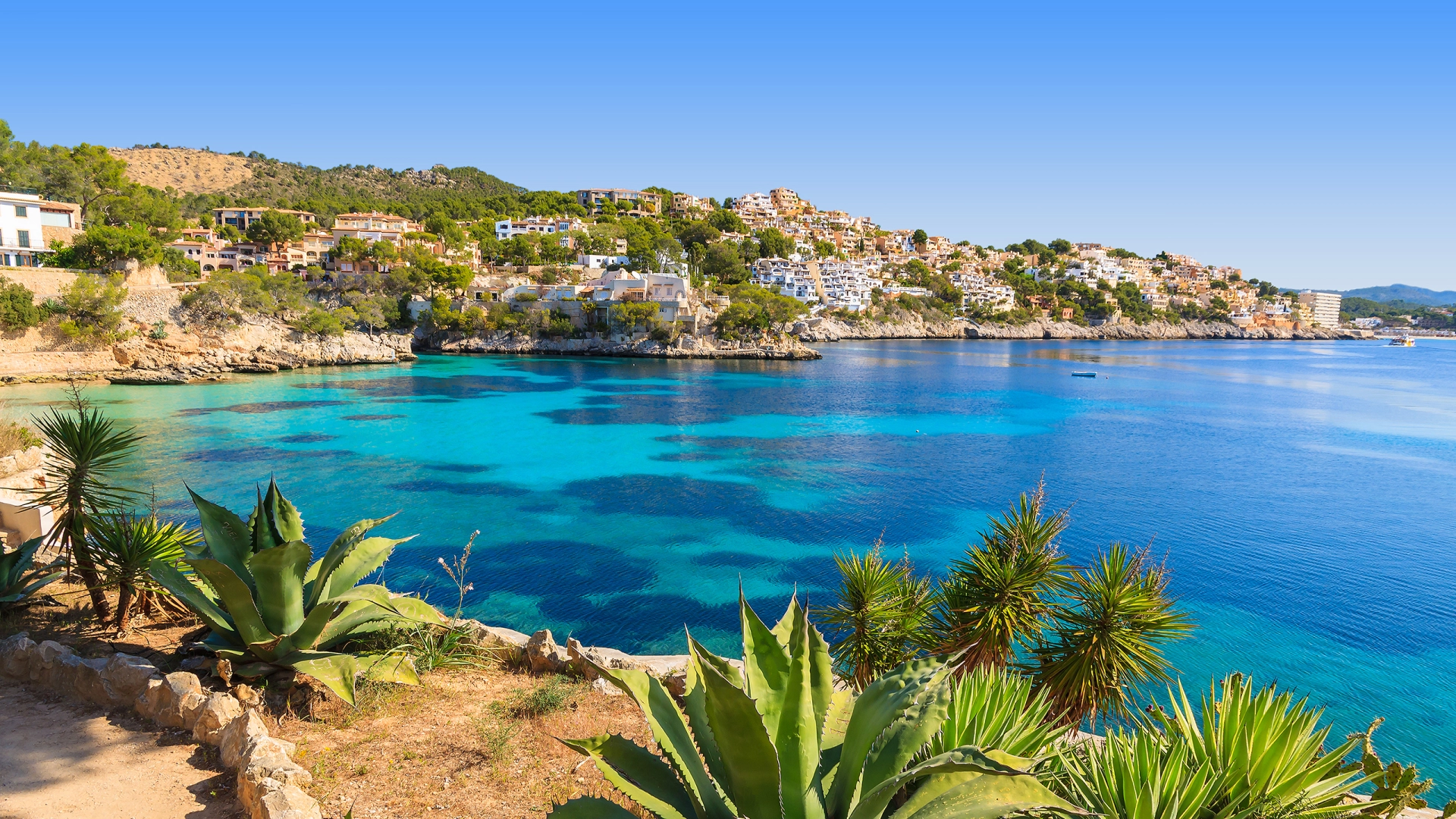 Insidertipps – Mallorca hautnah