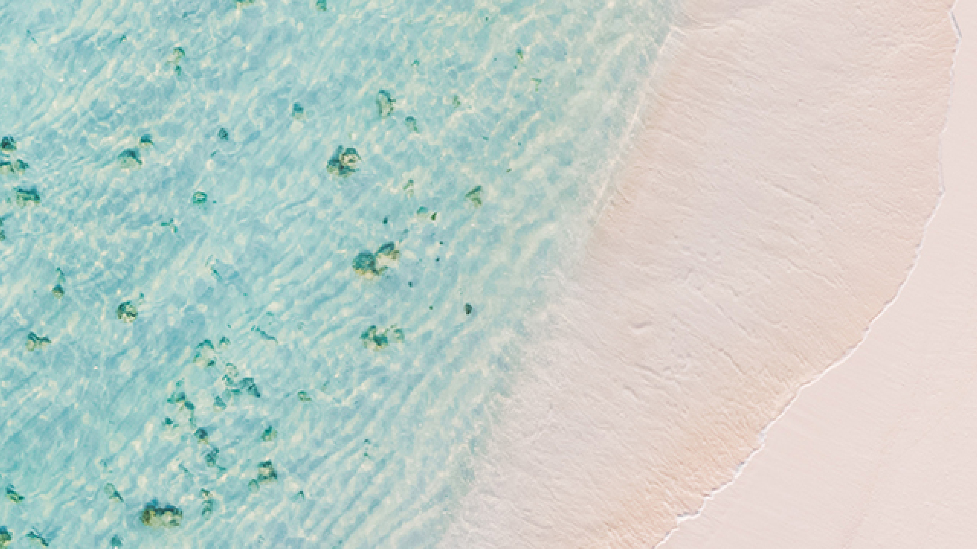 Erneuerung der Filiale Innsbruck