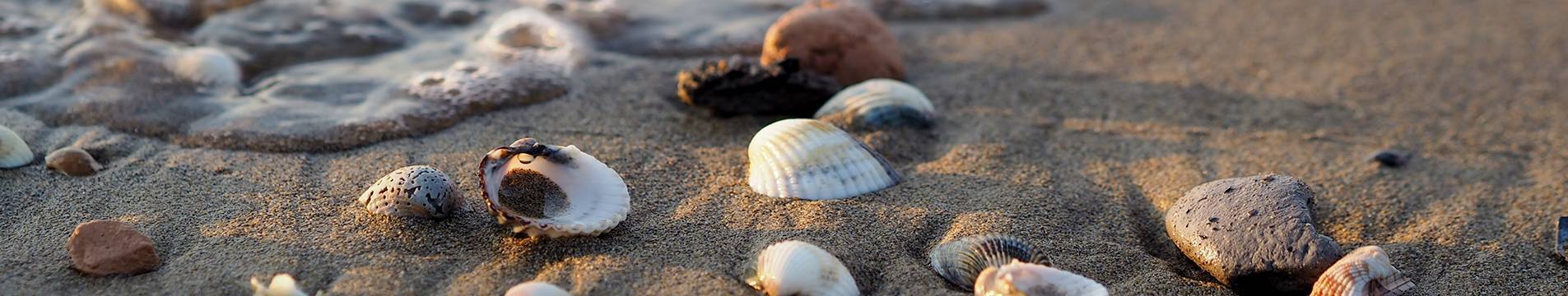 Zwei starke Damen im Hintergrund