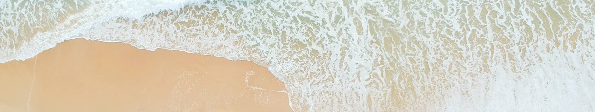 iDEALTOURS setzt auf klimafreundliches Reisen sowie Fahrsicherheit