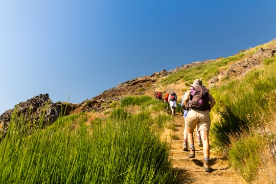 Wandern auf Madeira