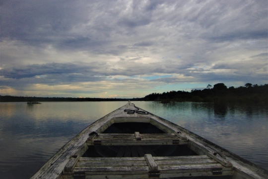 Brasilien Amazonas