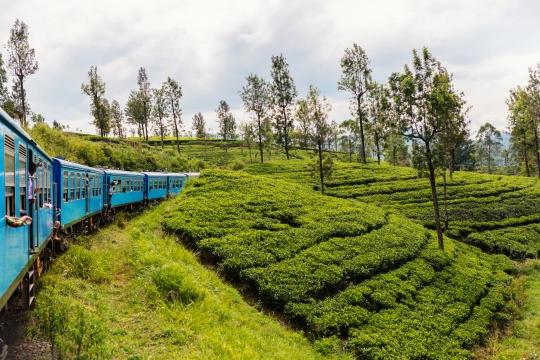 Zugfahrt in Sri Lanka