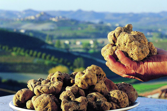 Trüffelsaison in Italien