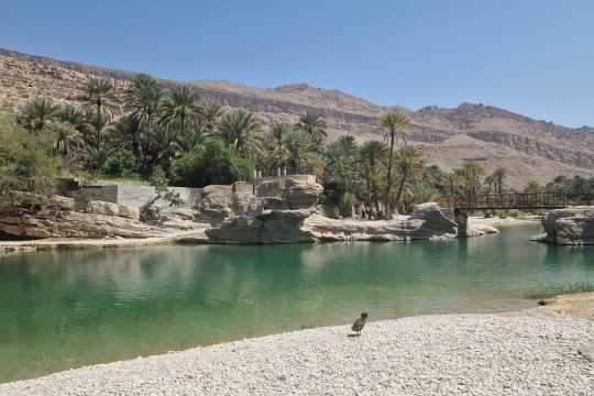 Wadis im Oman