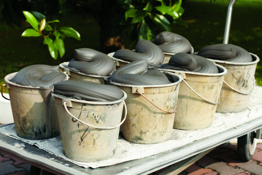 Fango – ein Wunder aus der Natur