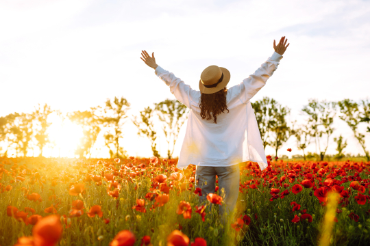 Kein Garten - was nun?