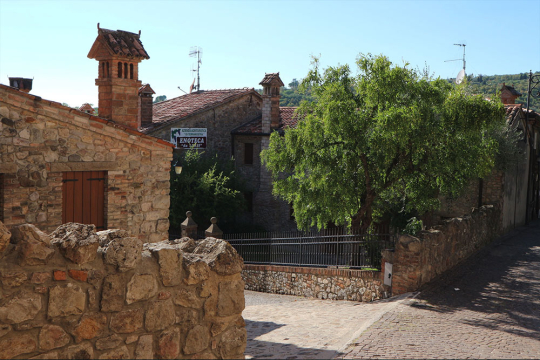 Arqua Petrarca (©Sebastian Schneemann)