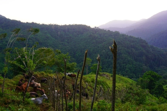 Kolumbien
