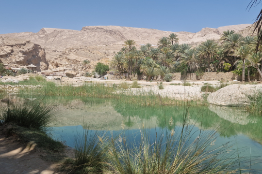 Oman Reise mit Idealtours
