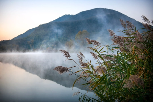 Retreats