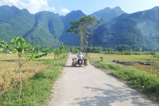 Vietnamreise