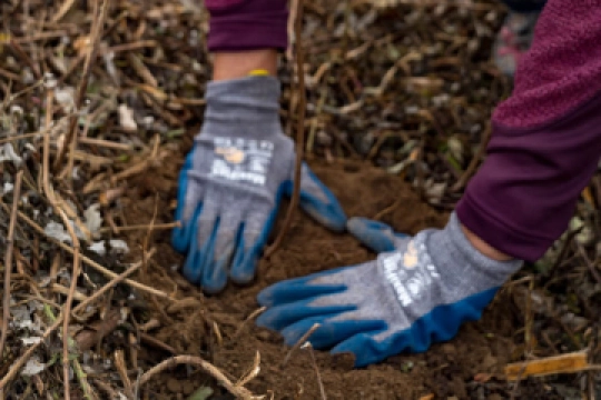 Wald4Leben - wir pflanzen Bäume!