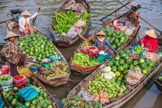 Vietnam - Mekong