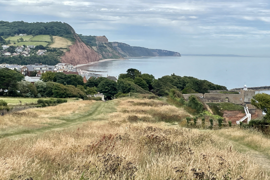 Blick auf Sidmouth